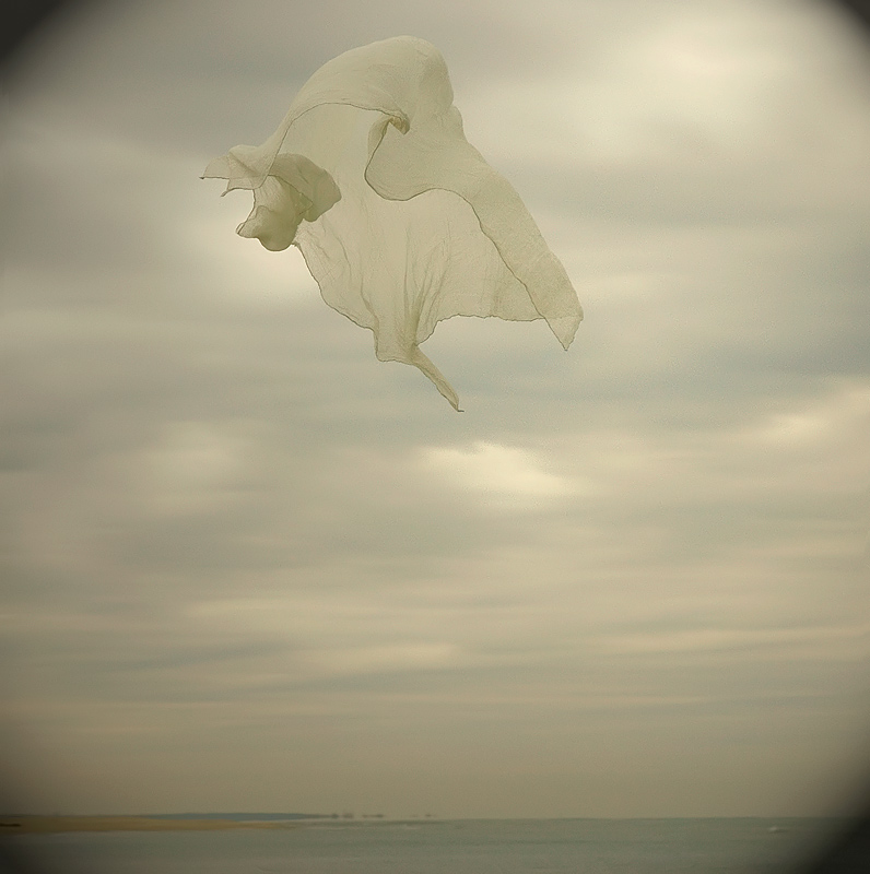 insostenibile leggerezza