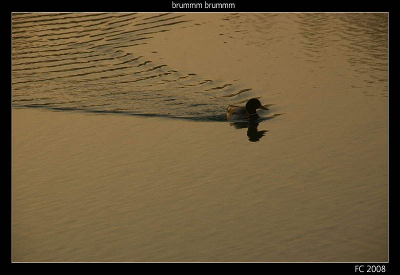 brummm brummm