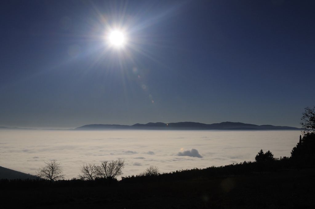 Controluce nella Nebbia