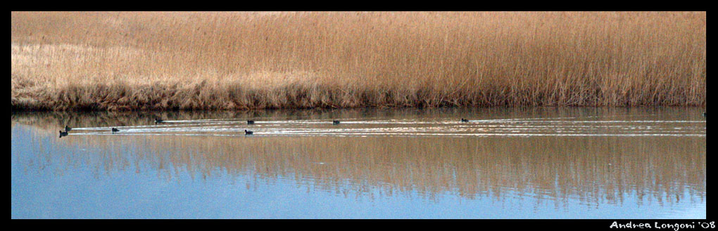 I gregari tirano la volata