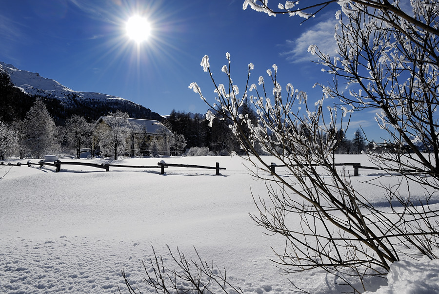 Controluce invernale 2