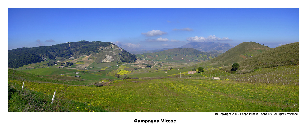 Campagna vitese