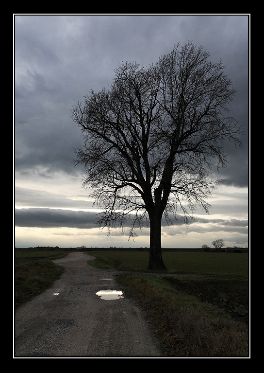 Tra una pioggia e l'altra...