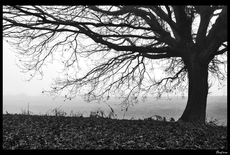 The warmest winter pt.4