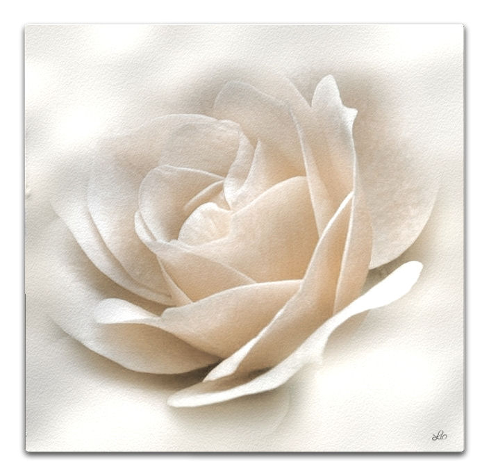 2 elaborazione