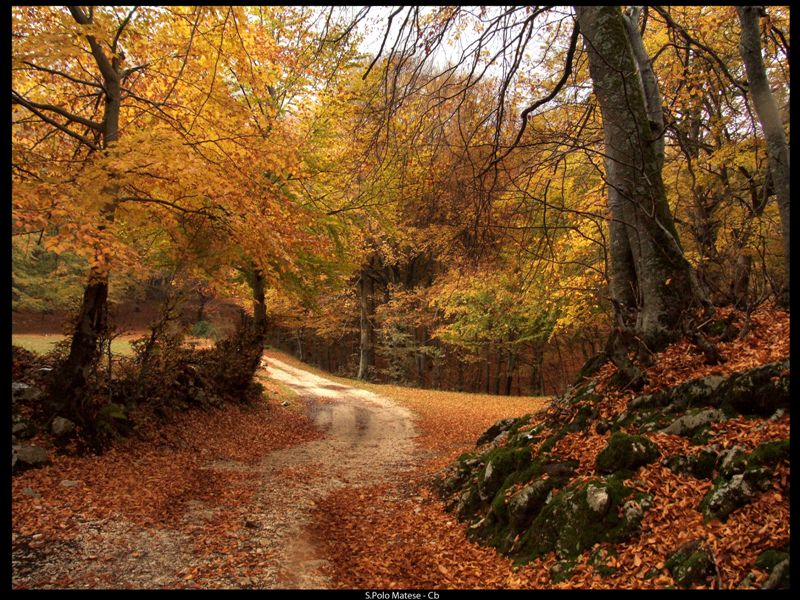 autunno in molise