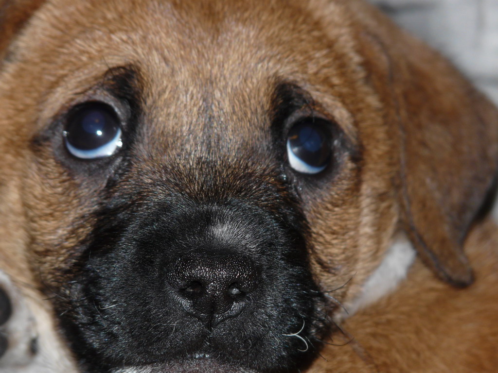 "Non mandarmi fuori adesso"