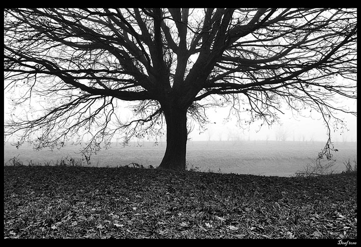 The warmest winter pt.5