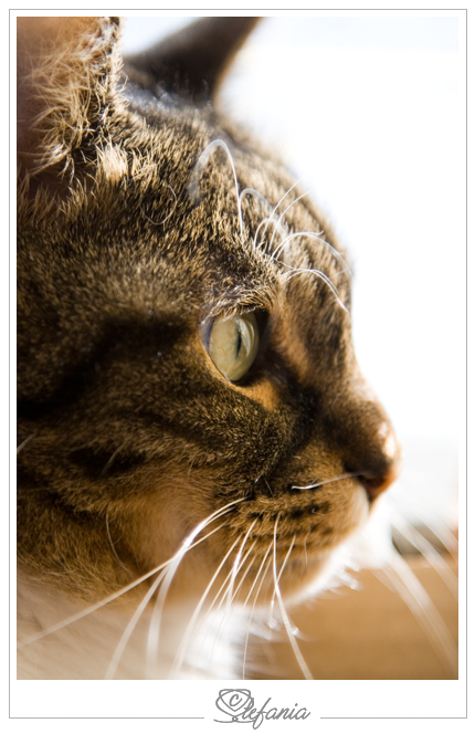 My love...for ever!!!