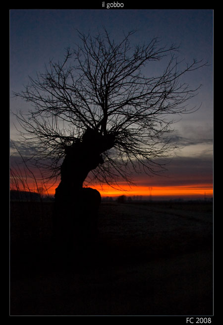 il gobbo