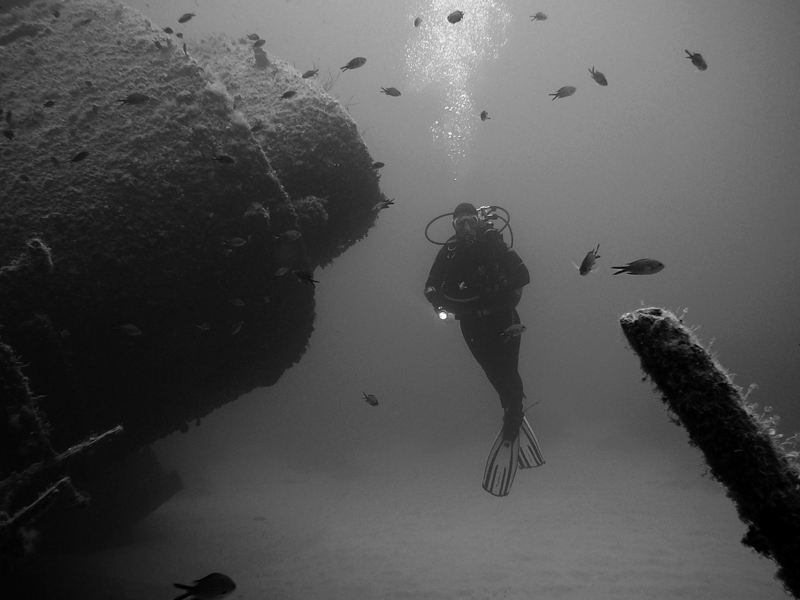 relitto di pomonte (is. Elba)