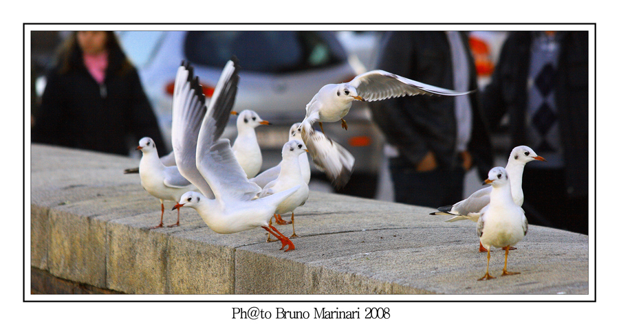 Sto arrivandooooo........!!!!