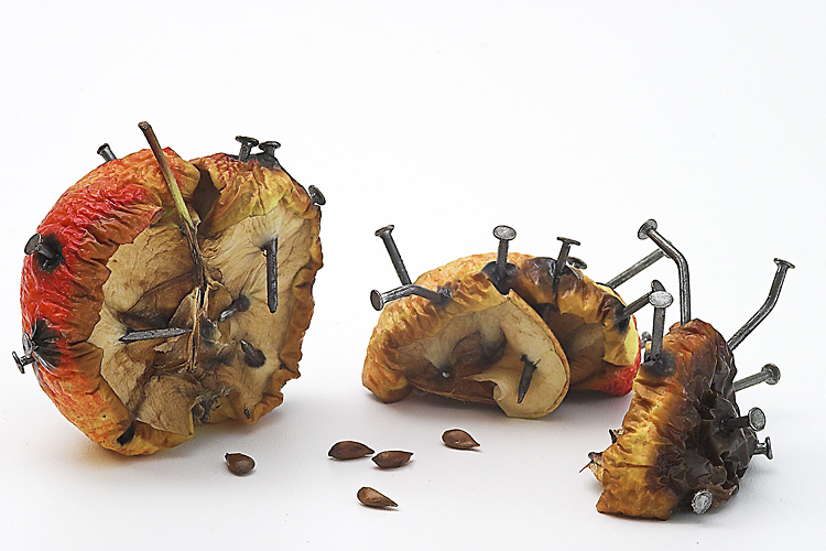 abbiamo distrutto il mondo