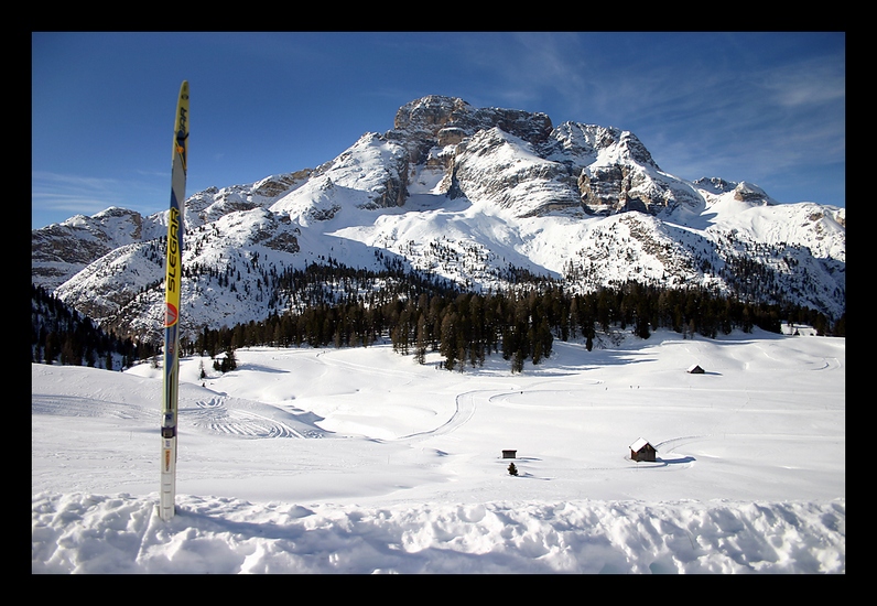 Prato Piazza (alta pusteria)