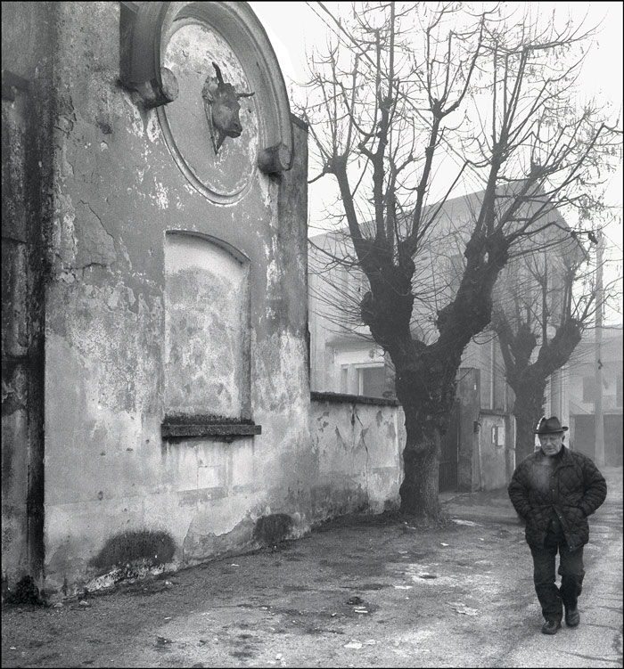 Passeggiata invernale