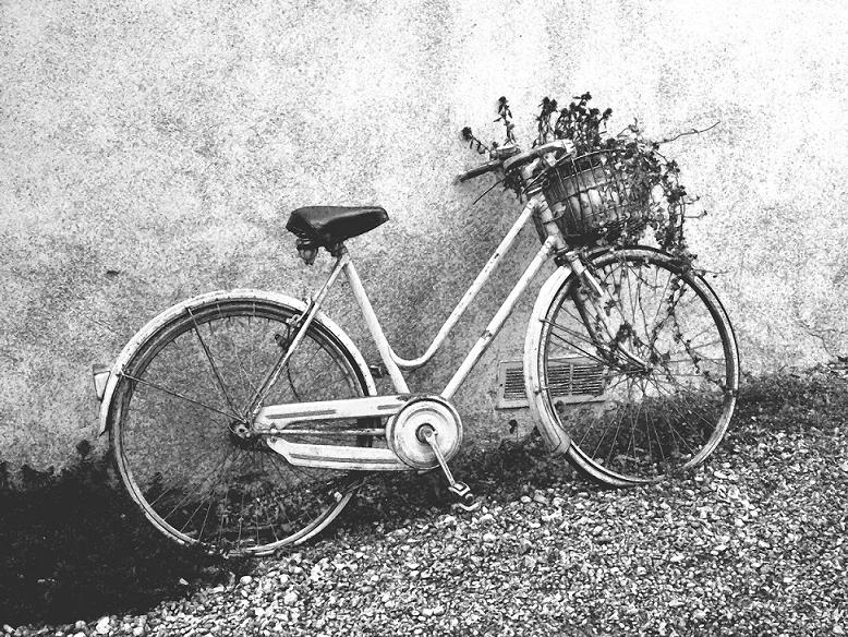 metamorfosi naturale