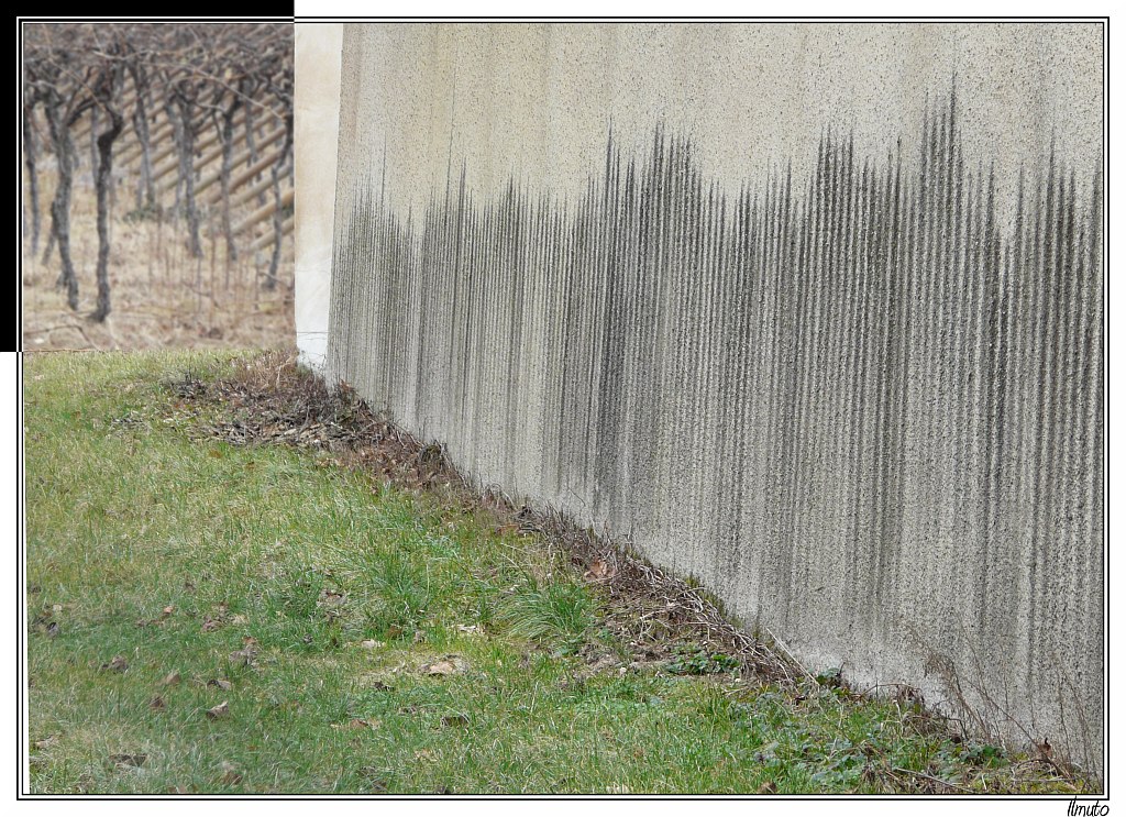 Quelle strane righe...