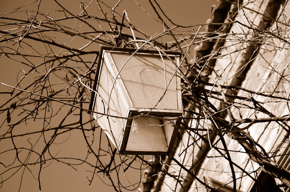 Natura inarrestabile "2"