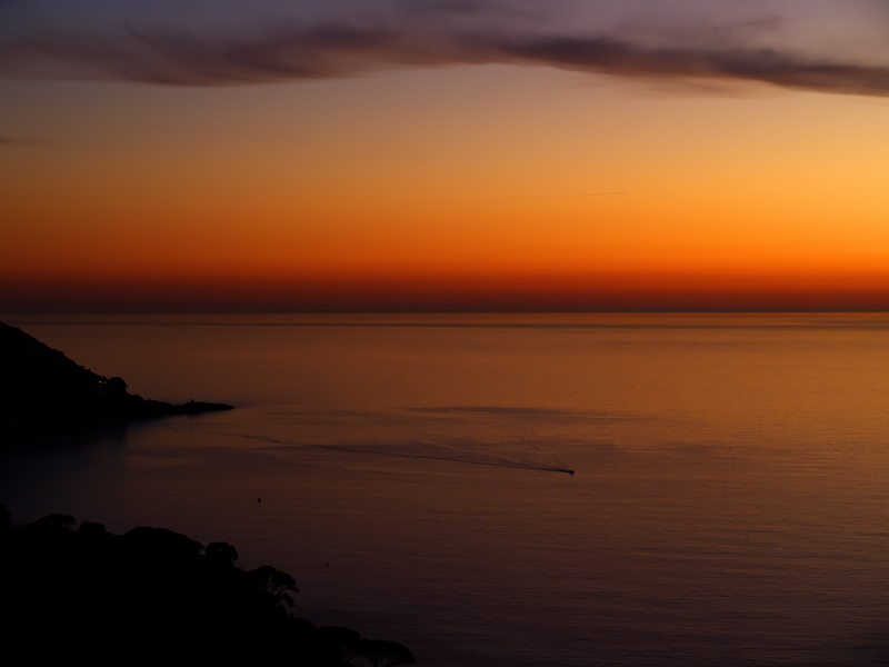 Punta Chiappa (Portofino)