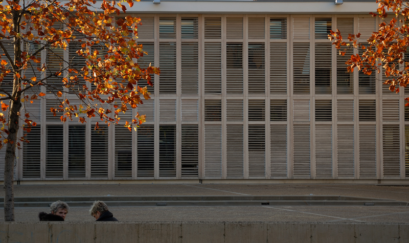 conversazione in autunno