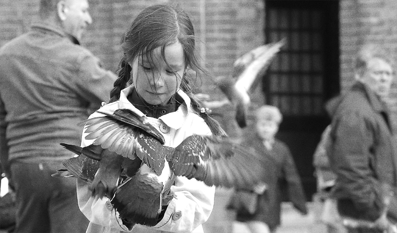 i veneziani di pza S.Marco