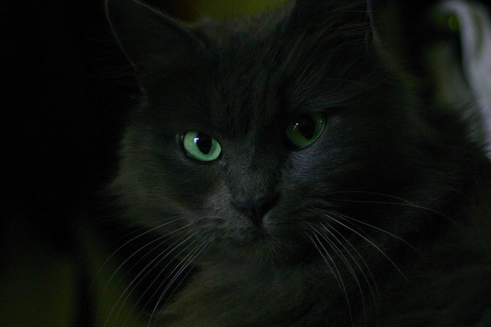 Buon Pommeriggio....dopo il buongiorno (vedi galleria)