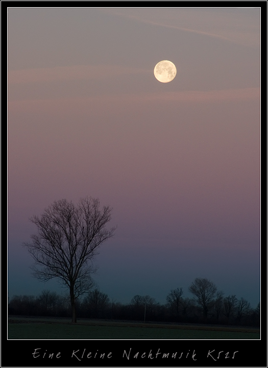 Piccola Serenata Notturna