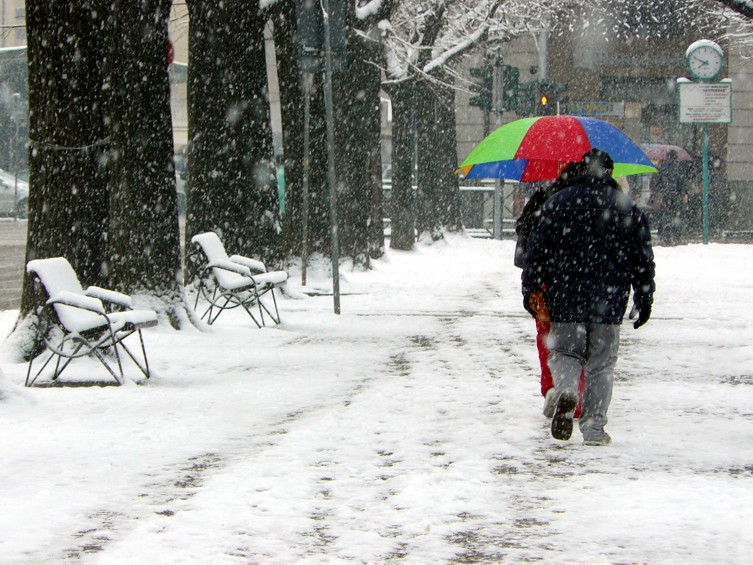 Un p� di colore in mezzo a tanto grigio...