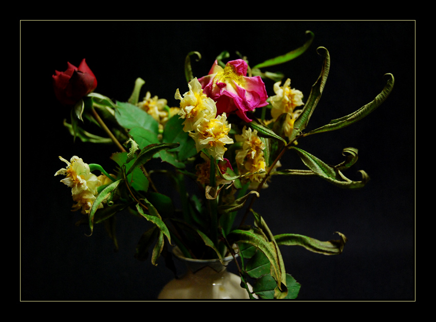 Composizione sfiorita