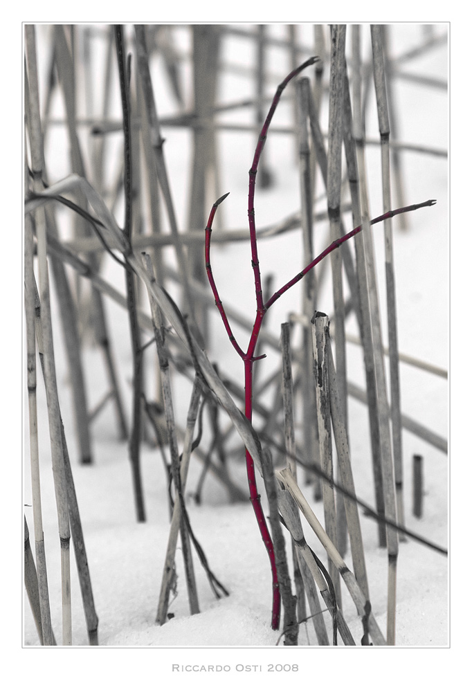 Chamonix 2008, Plain des Praz e la vita sul lago ghiacciato