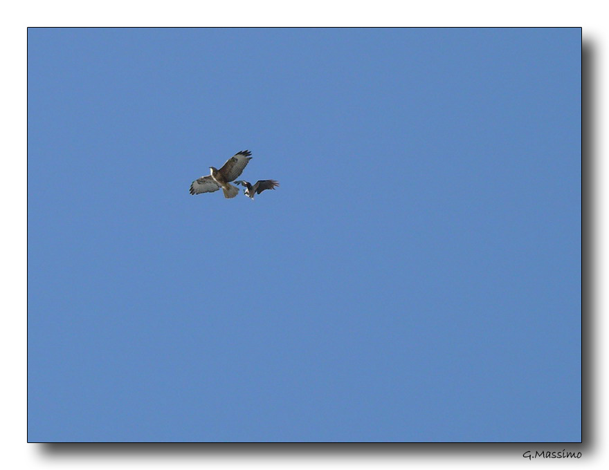 Combattimento ad alta quota