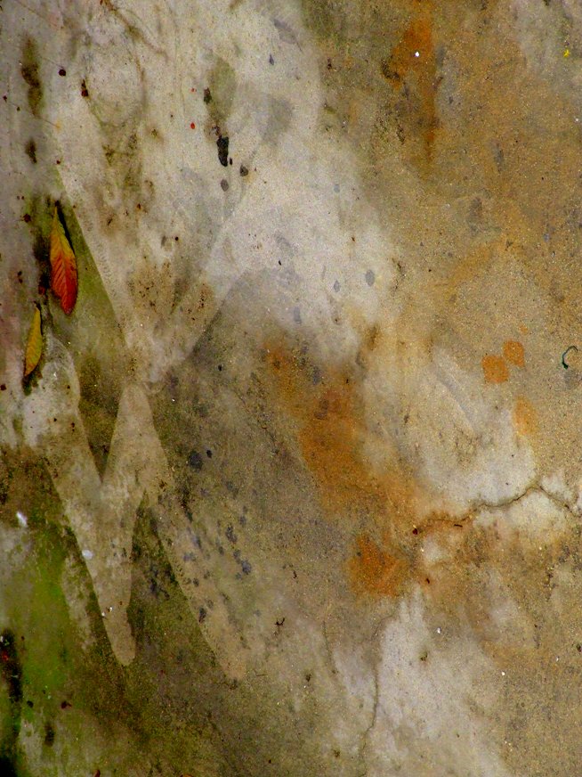 colori saturi in un parcheggio con foglie