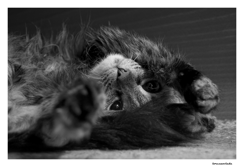 bello fare niente...