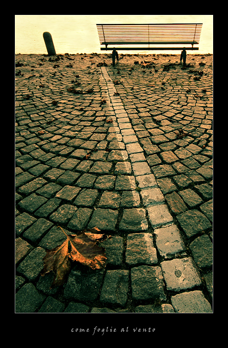 come foglie al vento