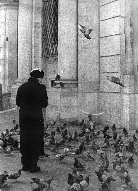 La signora dei piccioni