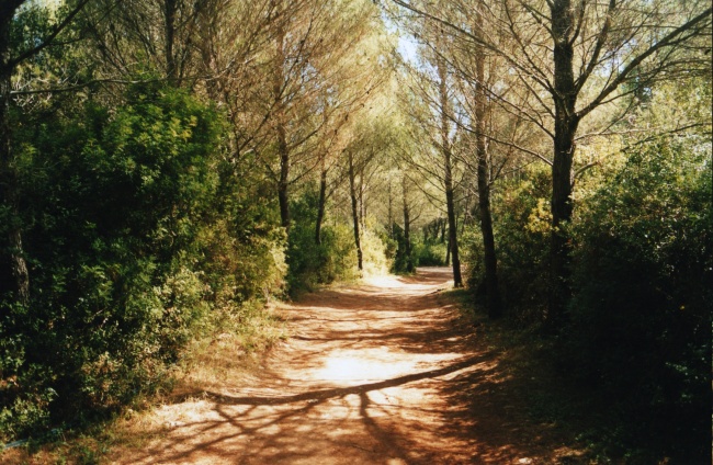 Ho voglia di perdermi