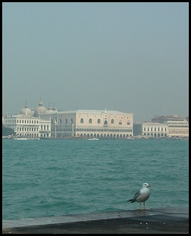 Fosch�a sul Canale della Giudecca