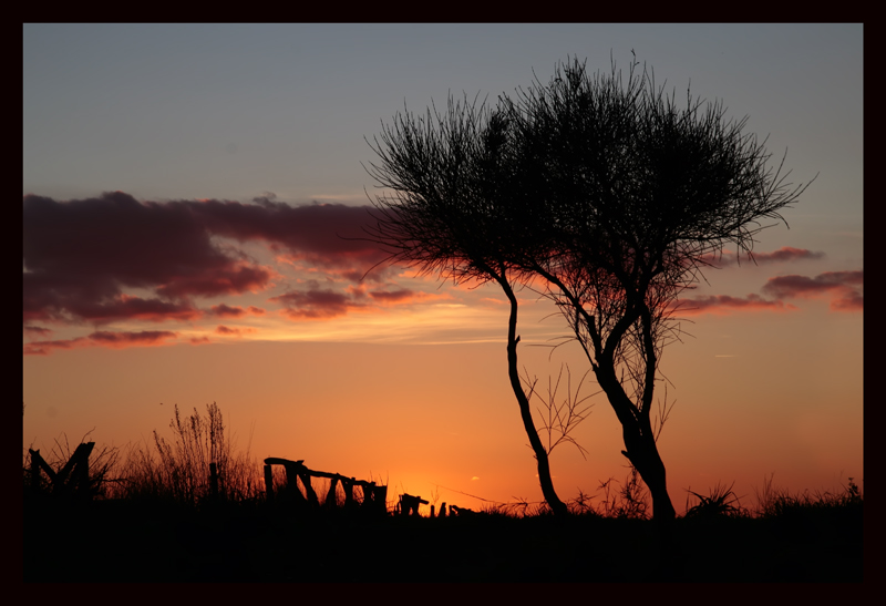 ....contemplazione....