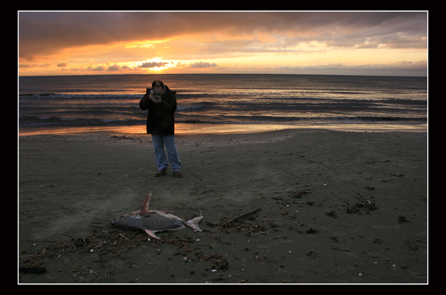 C'era una volta un fotografo e un pesce luna...