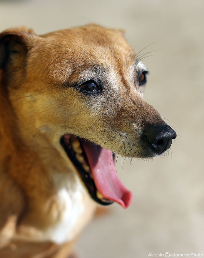 Betty by 40d+50 f1.4