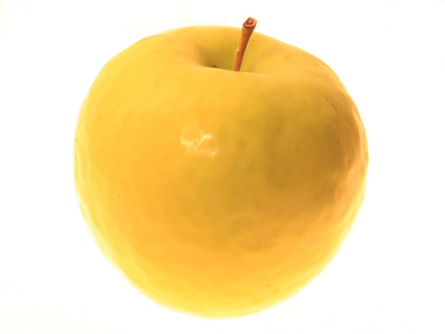 Mela - prove tecniche