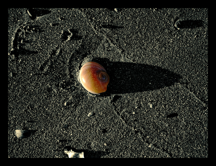 Ombre sulla Luna - C'� Vita nello Spazio