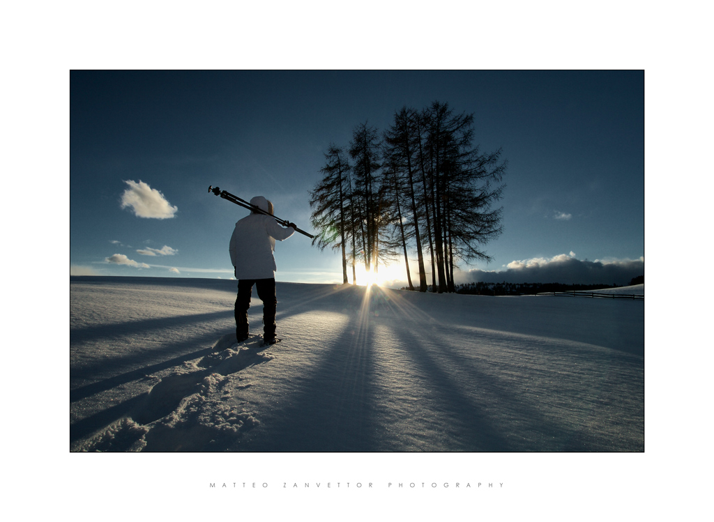 Nature is my Kingdom XI