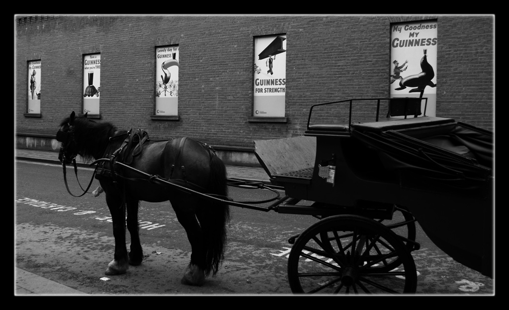 Tuffo nel passato, Irlanda