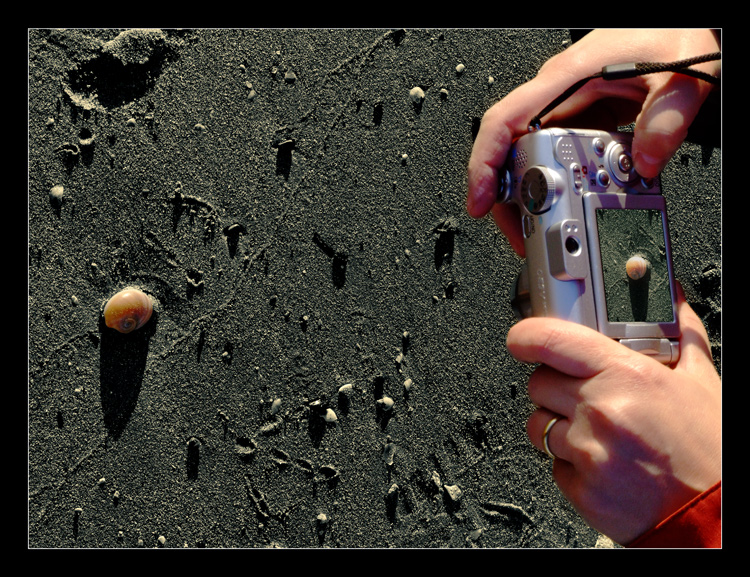 Primi Documenti della Vita sulla Luna!