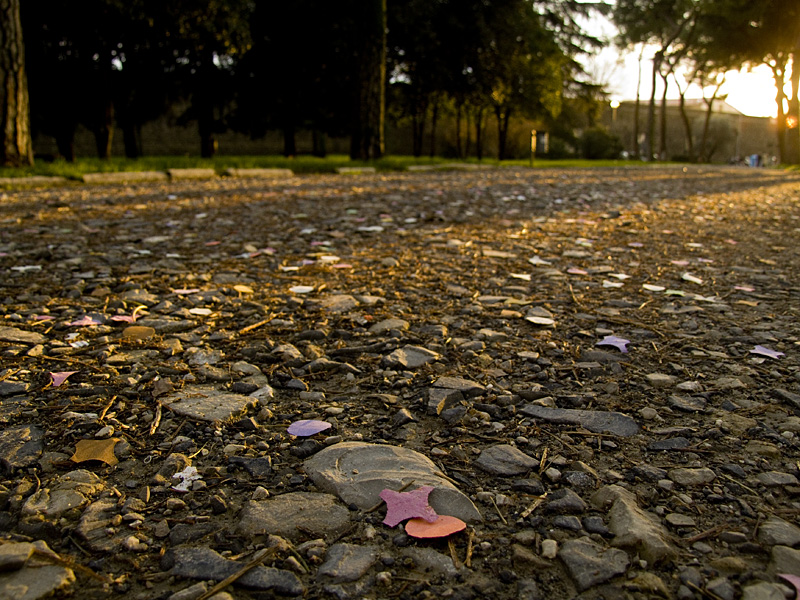 Tracce d'allegria..(4 foto)