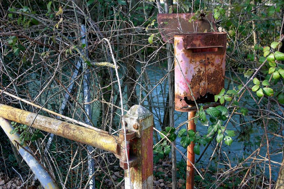 cara PACE ti scrivo, riceverai mai le mie lettere...