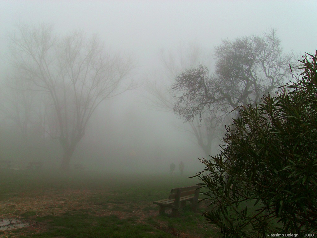 passeggiata invernale