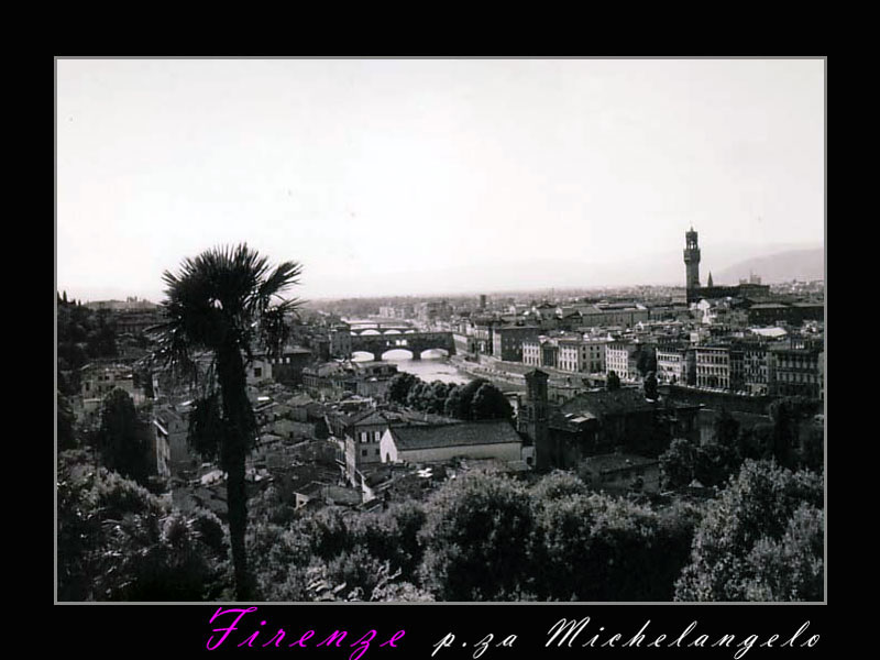 Firenze vista