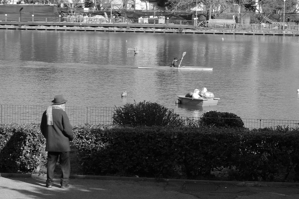 Vorrei vogare anch'io...